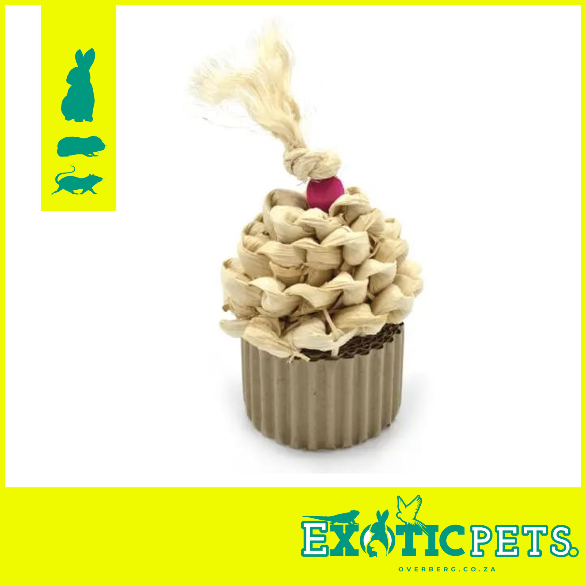 Oxbow Enriched Life Celebration Cupcake | Exotic Pets Overberg