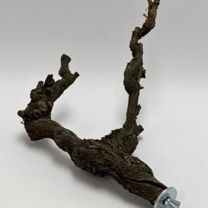 Grapevine Perch
